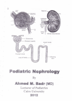 nephrology (a.badr).pdf